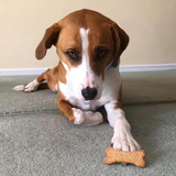 Dog Biscuits - Half Pound Bag