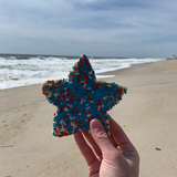 Sprinkle Star Cookie