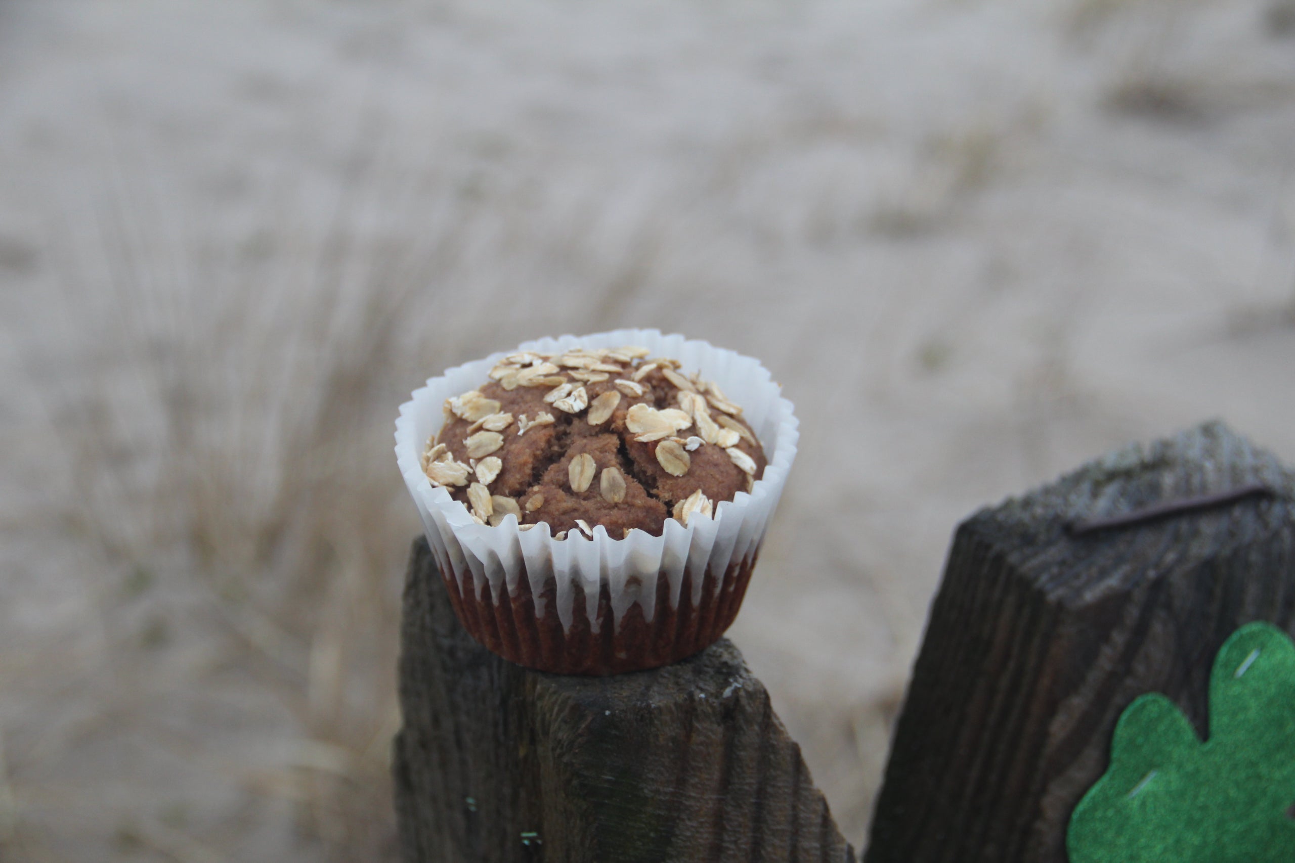 Schnibblins: Almond Oat Muffin - Gluten, Egg, & Dairy Free