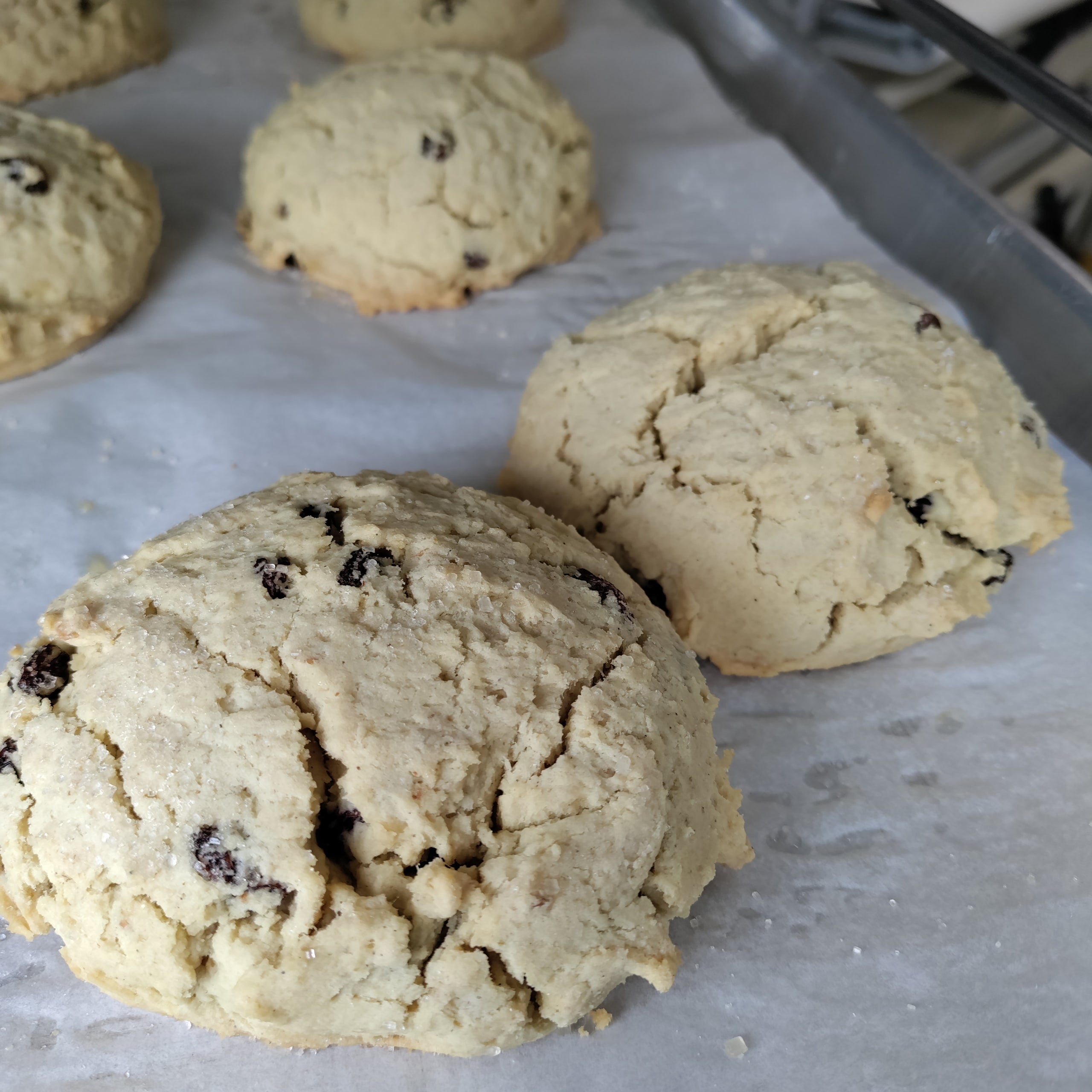Schnibblins GF, DF, & EF Irish Soda Bread Scones - 2pk