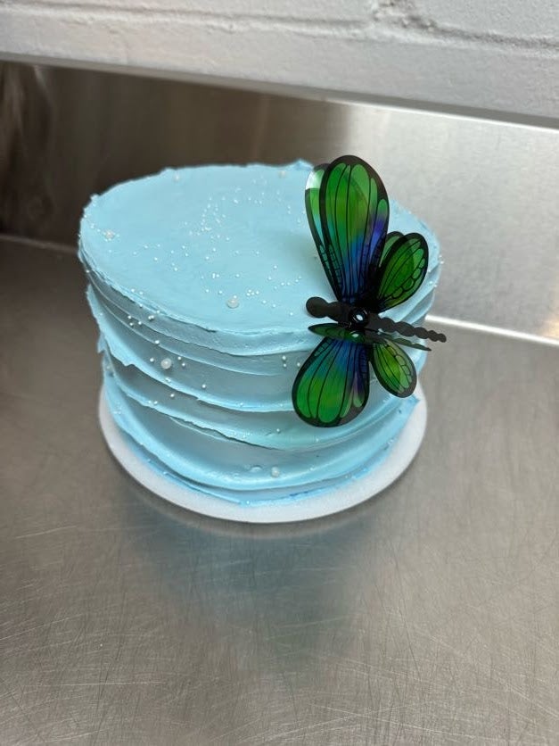 7" Dragonfly Cake