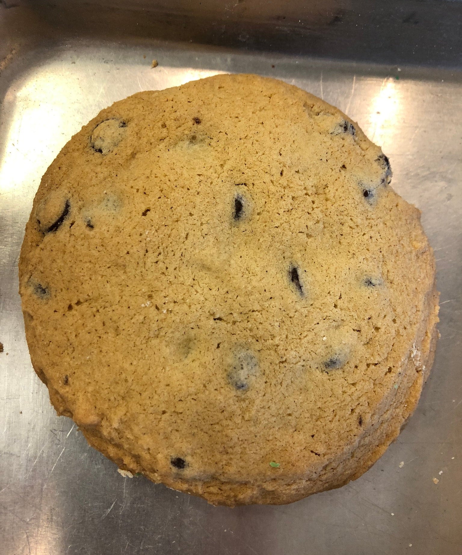 Gluten Free Chocolate Chip Cookie