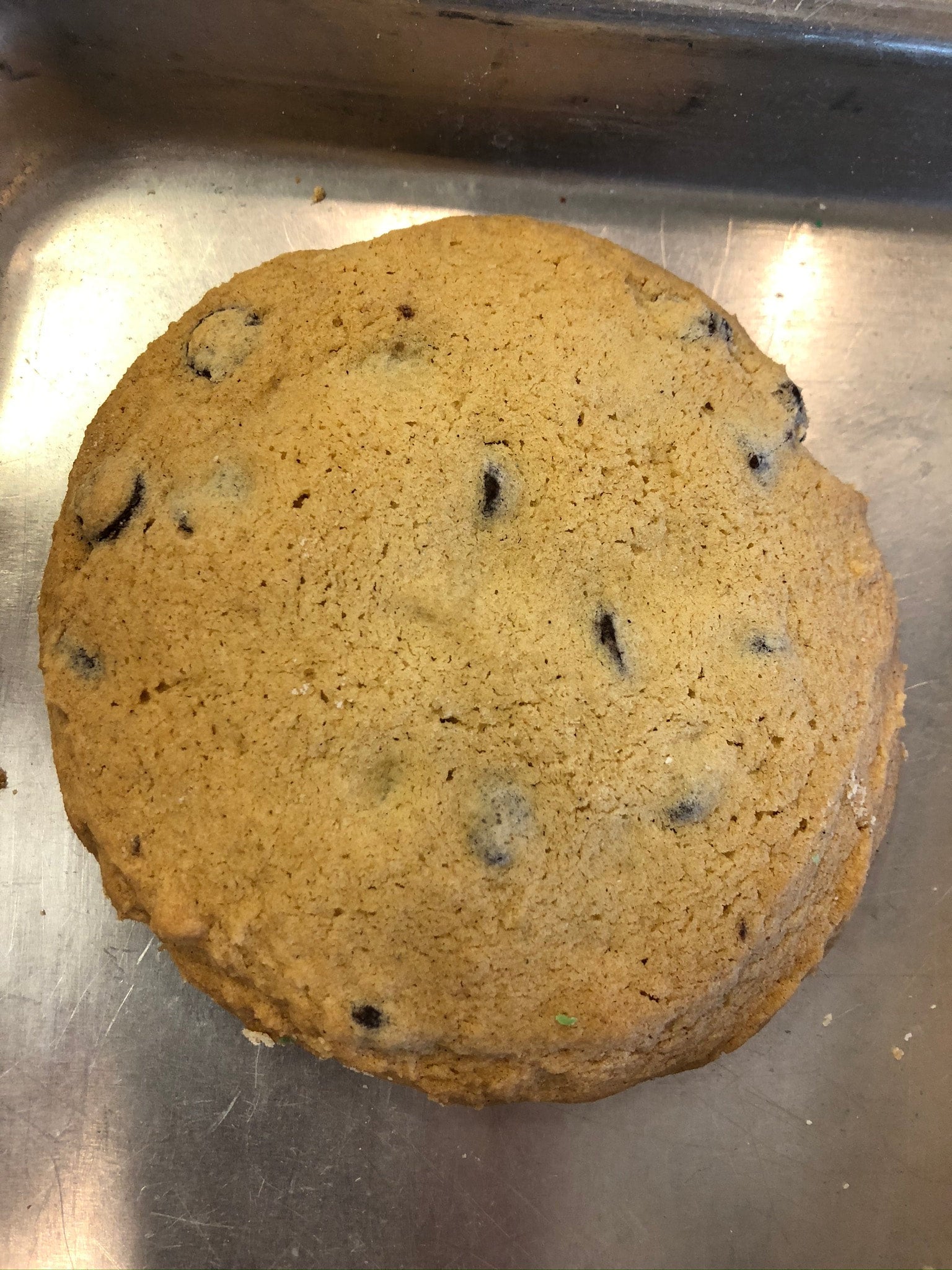 Gluten Free Chocolate Chip Cookie